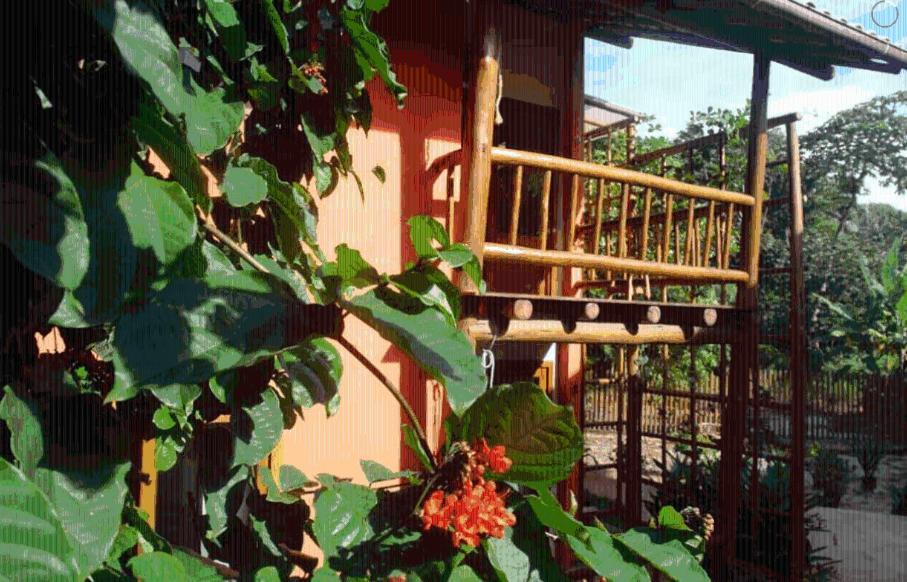 イタカレConcha Tropical Flatアパートメント エクステリア 写真