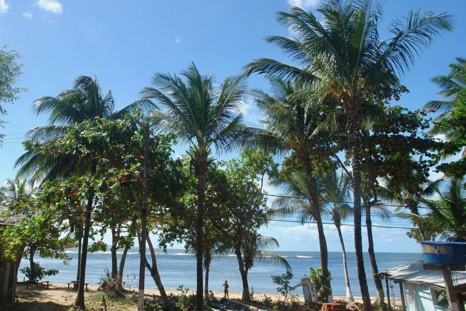 イタカレConcha Tropical Flatアパートメント エクステリア 写真